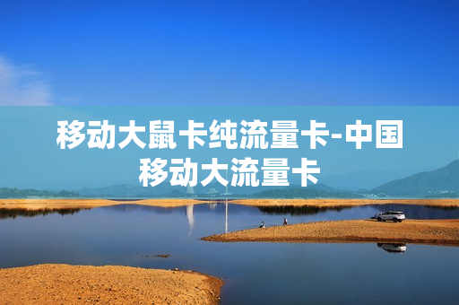 移动大鼠卡纯流量卡-中国移动大流量卡