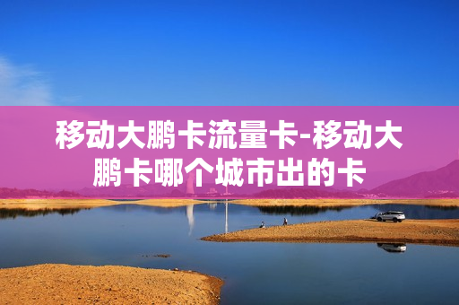 移动大鹏卡流量卡-移动大鹏卡哪个城市出的卡