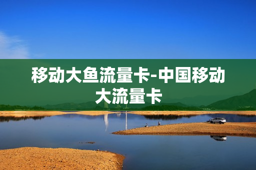 移动大鱼流量卡-中国移动大流量卡