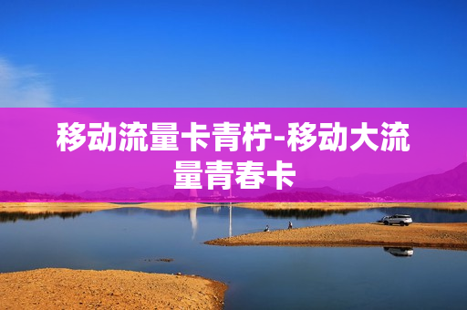 移动流量卡青柠-移动大流量青春卡
