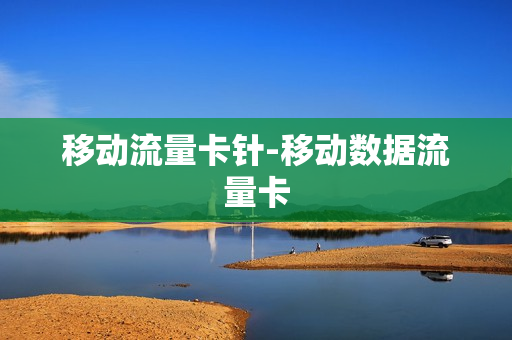移动流量卡针-移动数据流量卡