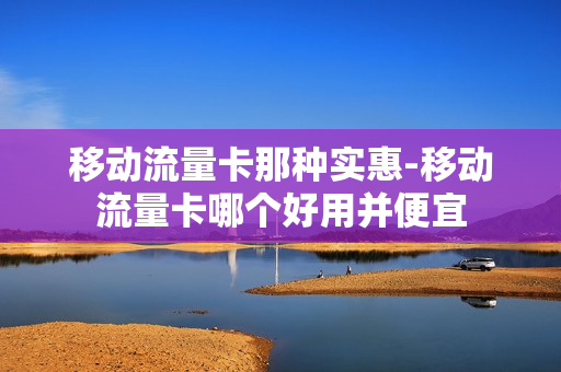移动流量卡那种实惠-移动流量卡哪个好用并便宜
