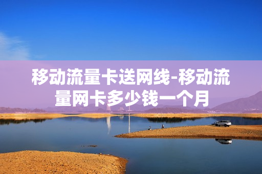 移动流量卡送网线-移动流量网卡多少钱一个月