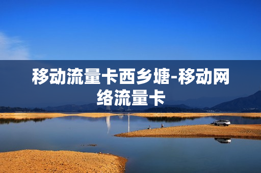 移动流量卡西乡塘-移动网络流量卡