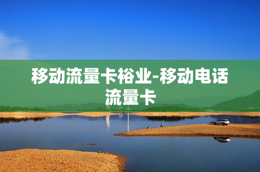 移动流量卡裕业-移动电话流量卡