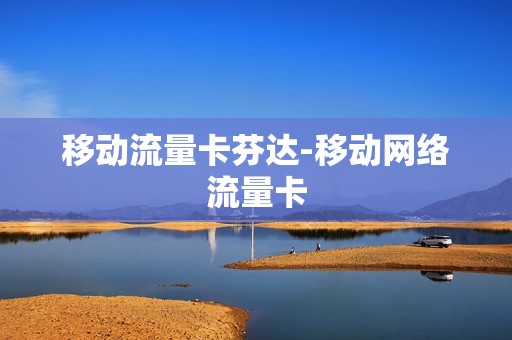 移动流量卡芬达-移动网络流量卡