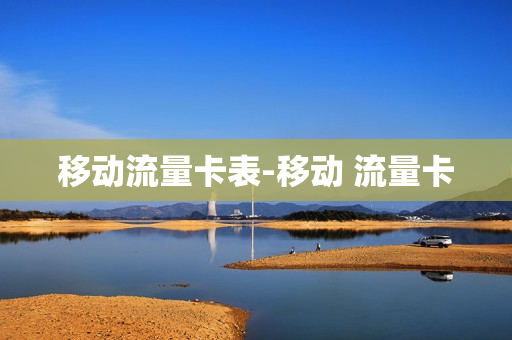 移动流量卡表-移动 流量卡