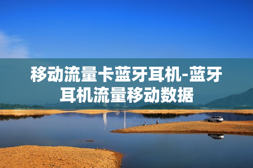 移动流量卡蓝牙耳机-蓝牙耳机流量移动数据