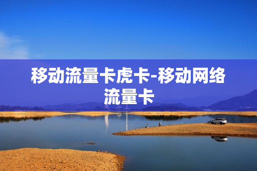 移动流量卡虎卡-移动网络流量卡