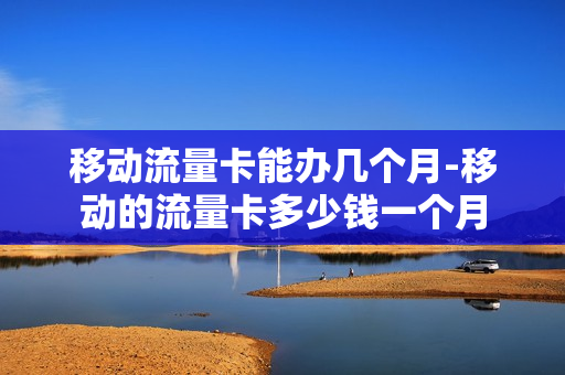 移动流量卡能办几个月-移动的流量卡多少钱一个月