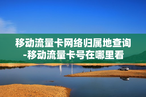 移动流量卡网络归属地查询-移动流量卡号在哪里看