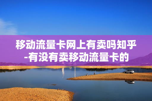 移动流量卡网上有卖吗知乎-有没有卖移动流量卡的