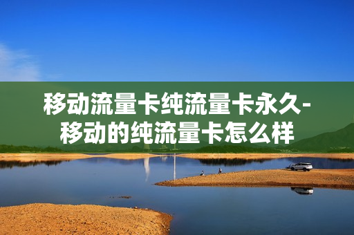 移动流量卡纯流量卡永久-移动的纯流量卡怎么样