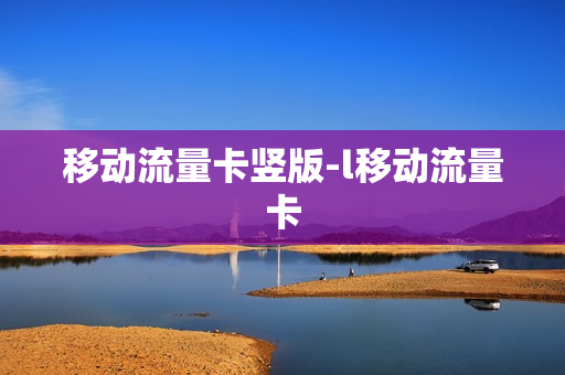 移动流量卡竖版-l移动流量卡