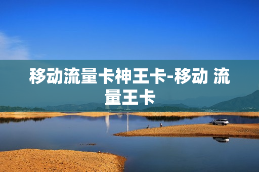 移动流量卡神王卡-移动 流量王卡