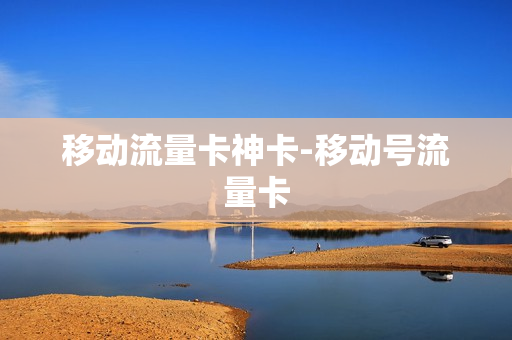 移动流量卡神卡-移动号流量卡