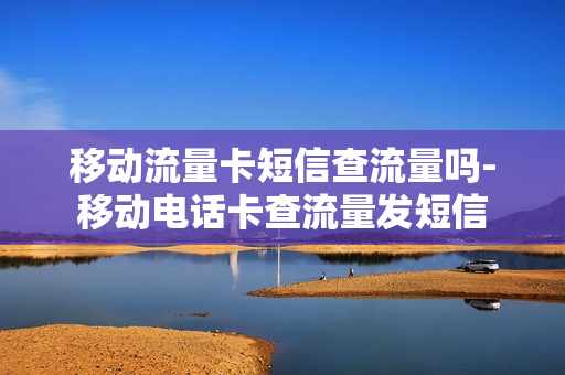 移动流量卡短信查流量吗-移动电话卡查流量发短信