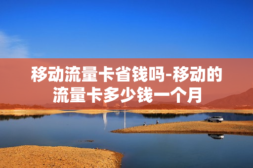 移动流量卡省钱吗-移动的流量卡多少钱一个月