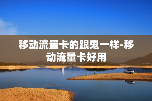 移动流量卡的跟鬼一样-移动流量卡好用