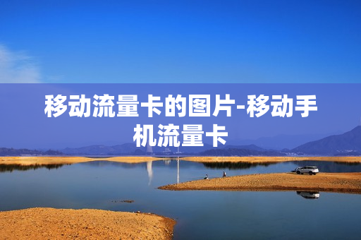 移动流量卡的图片-移动手机流量卡
