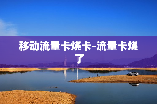 移动流量卡烧卡-流量卡烧了