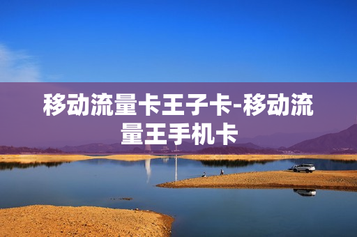 移动流量卡王子卡-移动流量王手机卡