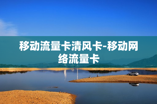 移动流量卡清风卡-移动网络流量卡