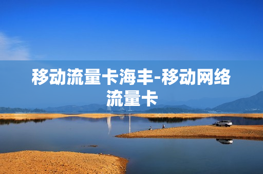 移动流量卡海丰-移动网络流量卡