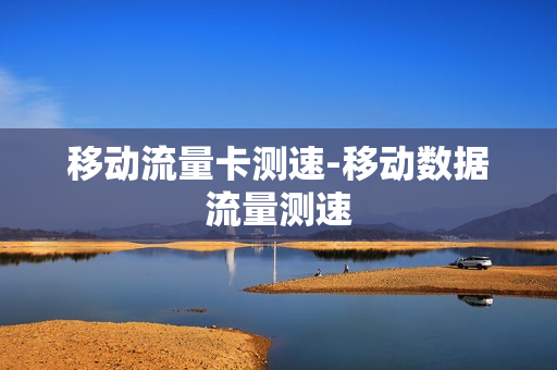 移动流量卡测速-移动数据流量测速