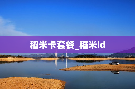 稻米卡套餐_稻米id