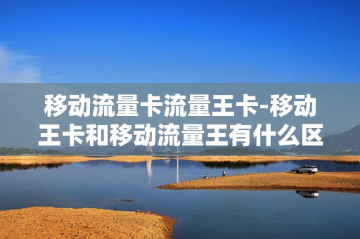 移动流量卡流量王卡-移动王卡和移动流量王有什么区别
