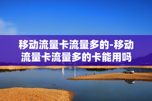 移动流量卡流量多的-移动流量卡流量多的卡能用吗