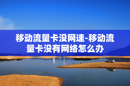 移动流量卡没网速-移动流量卡没有网络怎么办