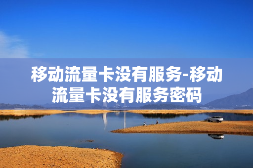 移动流量卡没有服务-移动流量卡没有服务密码