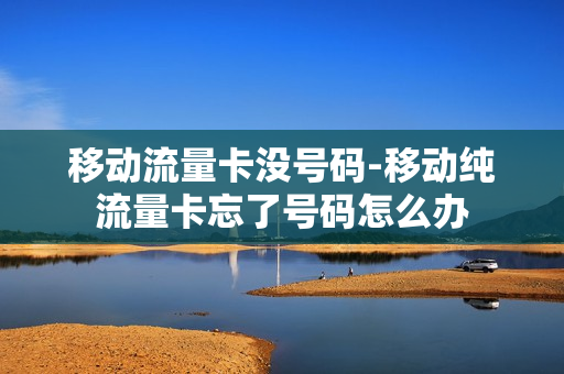 移动流量卡没号码-移动纯流量卡忘了号码怎么办