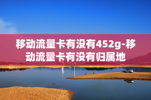 移动流量卡有没有452g-移动流量卡有没有归属地