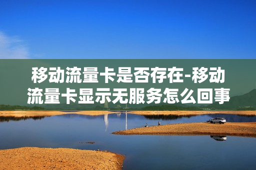 移动流量卡是否存在-移动流量卡显示无服务怎么回事