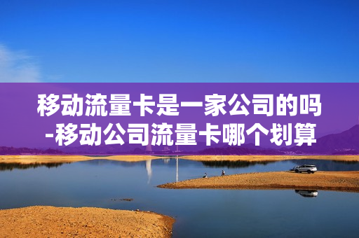 移动流量卡是一家公司的吗-移动公司流量卡哪个划算