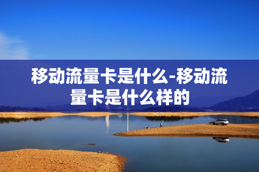 移动流量卡是什么-移动流量卡是什么样的