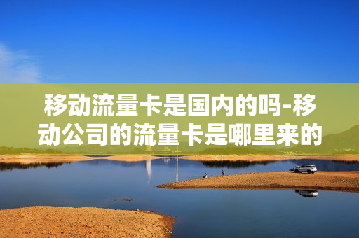 移动流量卡是国内的吗-移动公司的流量卡是哪里来的
