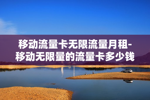 移动流量卡无限流量月租-移动无限量的流量卡多少钱