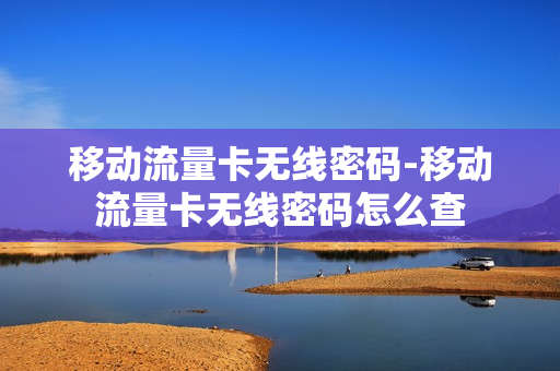 移动流量卡无线密码-移动流量卡无线密码怎么查