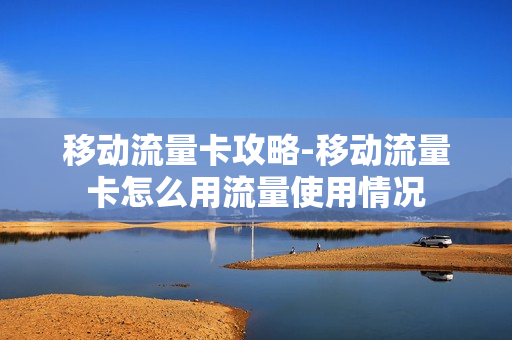 移动流量卡攻略-移动流量卡怎么用流量使用情况