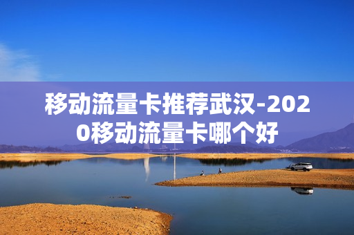 移动流量卡推荐武汉-2020移动流量卡哪个好
