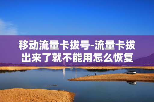 移动流量卡拔号-流量卡拔出来了就不能用怎么恢复