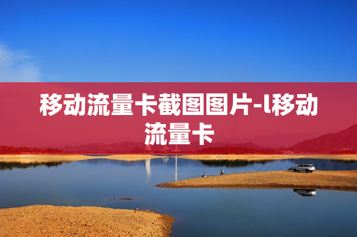 移动流量卡截图图片-l移动流量卡