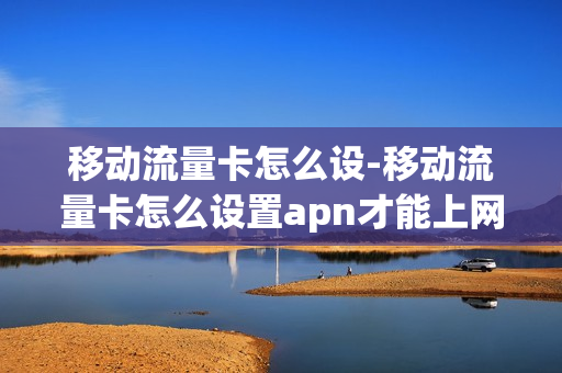 移动流量卡怎么设-移动流量卡怎么设置apn才能上网