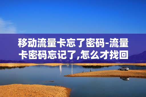 移动流量卡忘了密码-流量卡密码忘记了,怎么才找回来