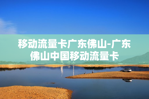 移动流量卡广东佛山-广东佛山中国移动流量卡