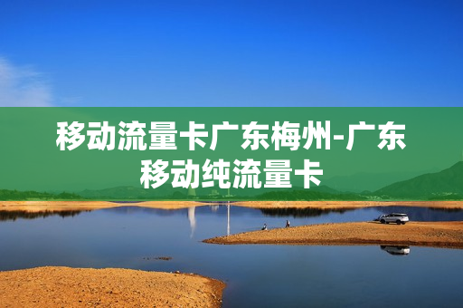 移动流量卡广东梅州-广东移动纯流量卡